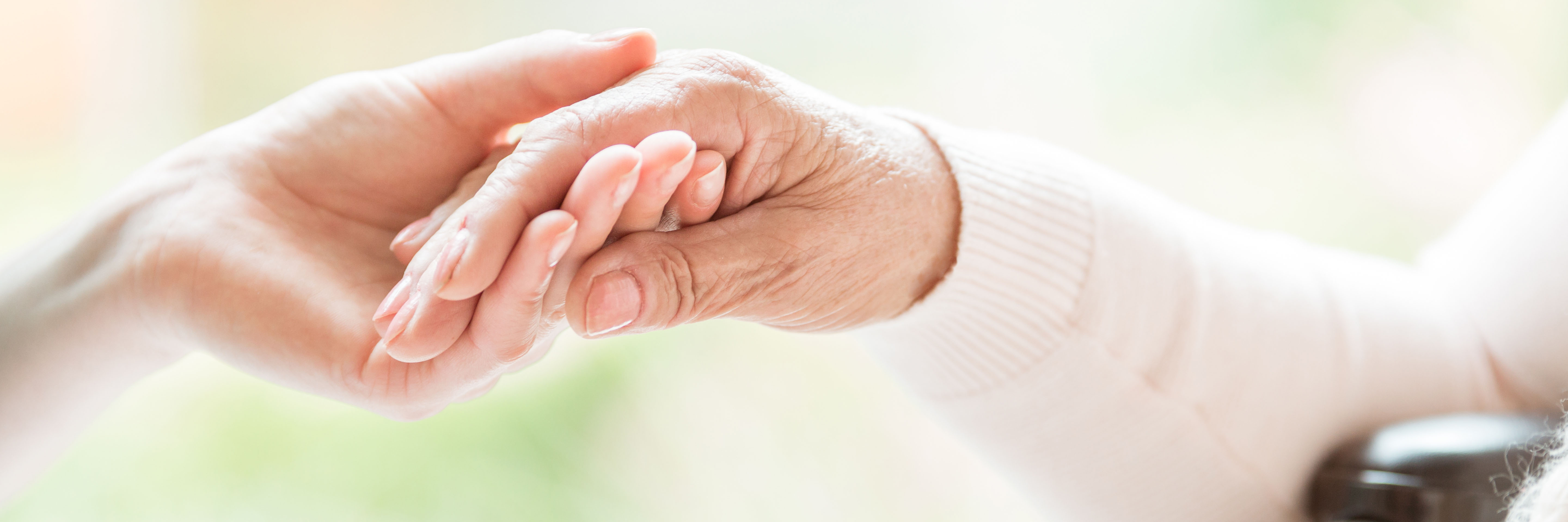 disability home care symbol - young lady's hand holds an elderly lady's hand